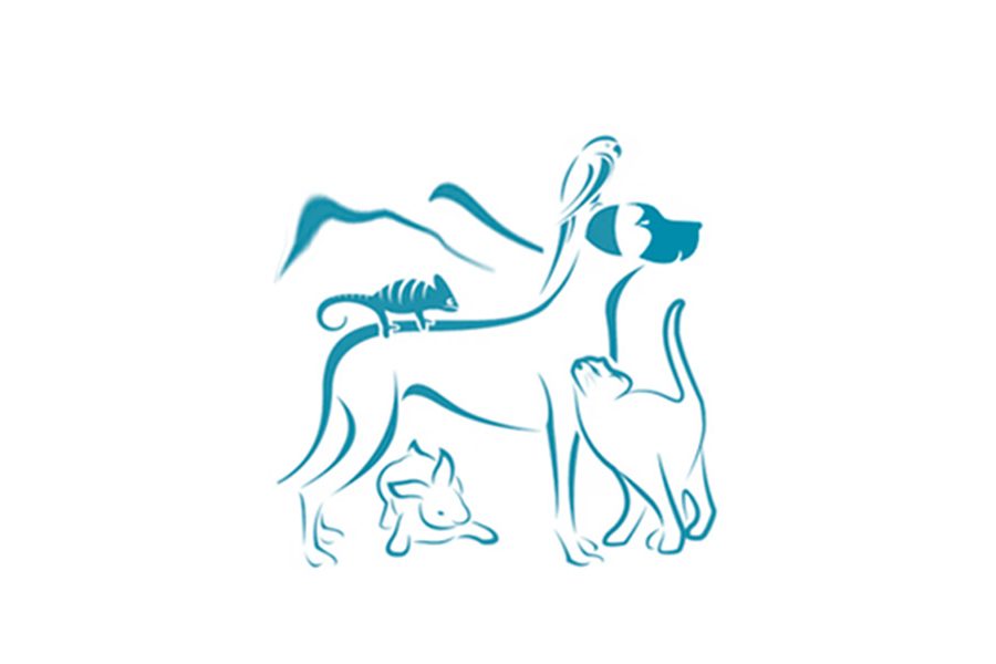 Clinica veterinaria specialistica delle murge